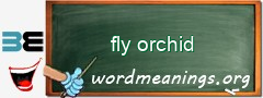 WordMeaning blackboard for fly orchid